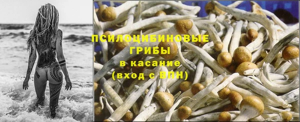 амф Абдулино