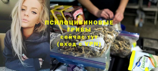 ешки Алексин